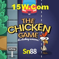 Bonus Features Sn88