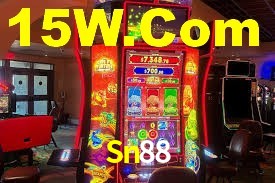 Premium Interface Sn88